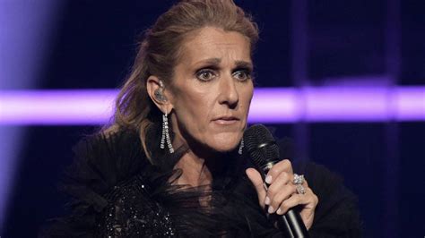 man gets electrocuted at celine dion concert.canada|Crew member electrocuted on Celine Dion’s ‘Courage’ World Tour.